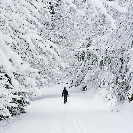 Appartement Cima By Bevalle Panticosa