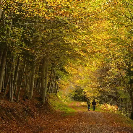 Cima By Bevalle Panticosa