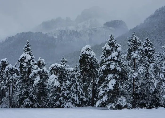 Cima By Bevalle Appartement Panticosa