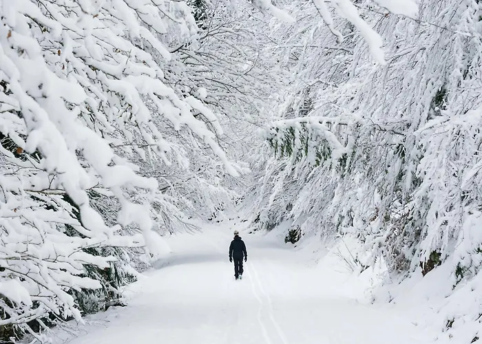 Appartement Cima By Bevalle Panticosa